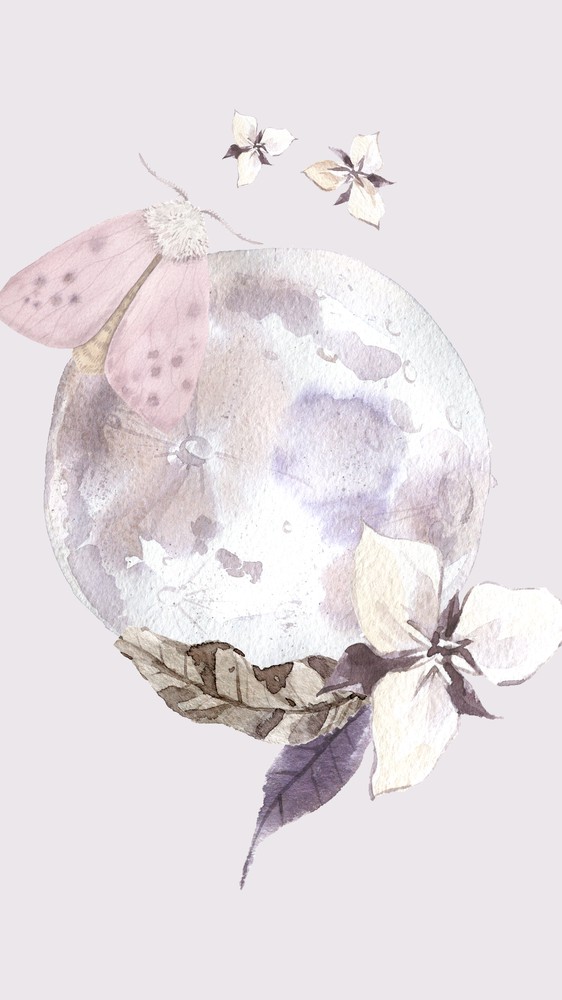 A Flower and a Moon