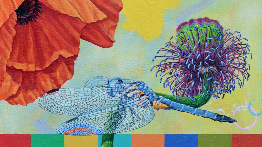 Poppy Blue Dasher