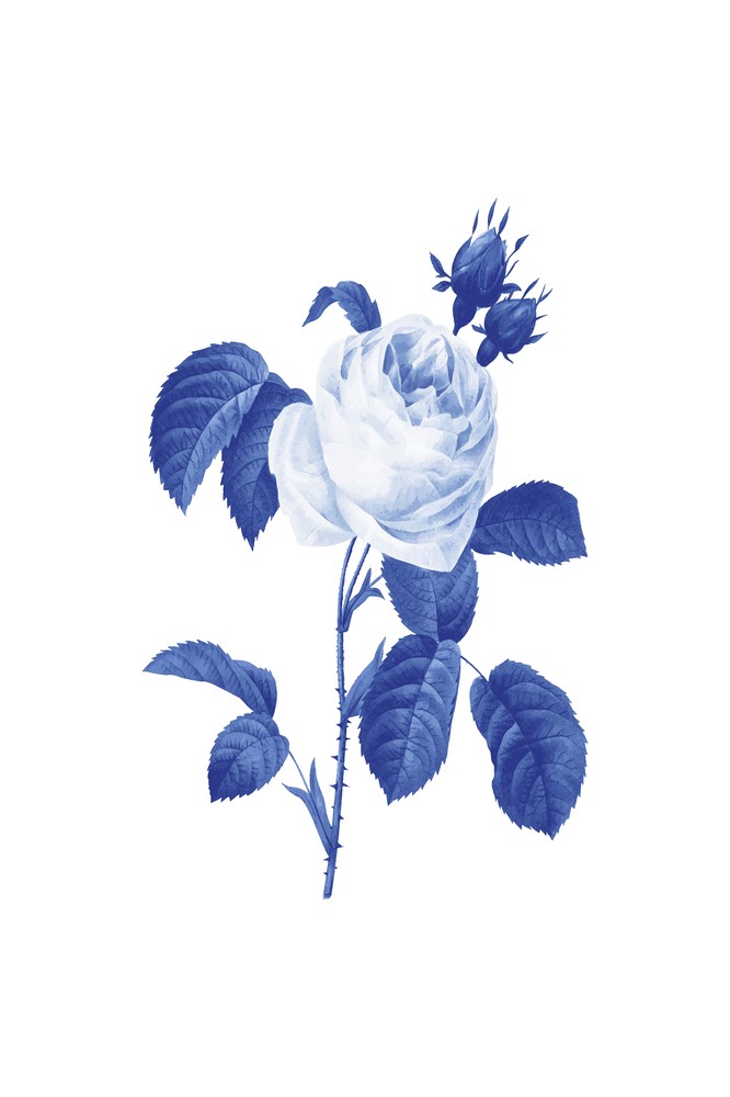 Blue Botanic I