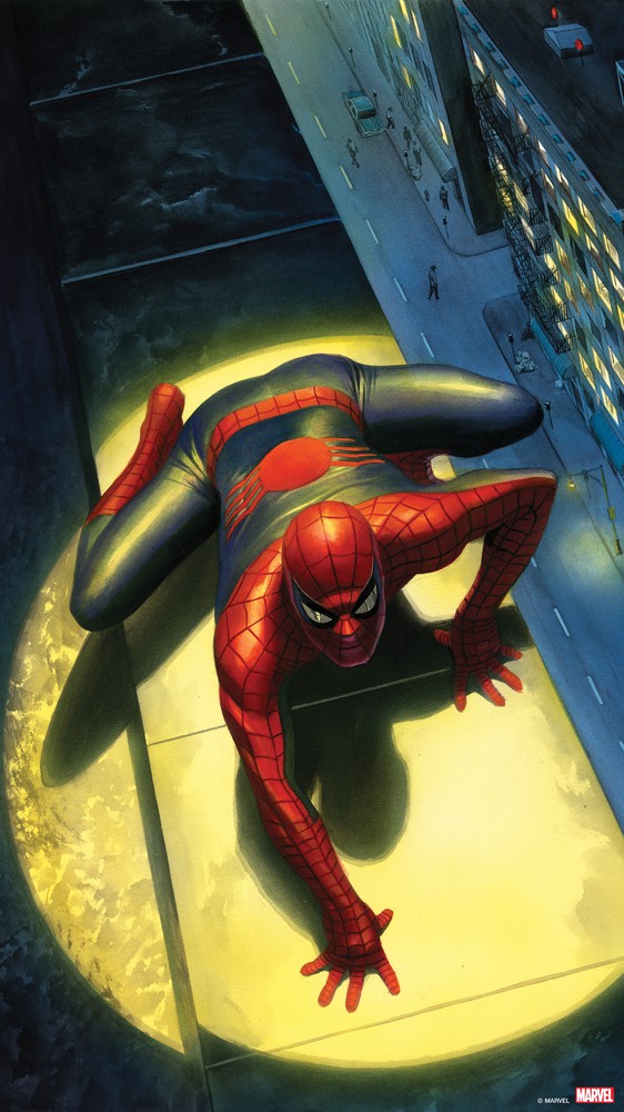 Peter Parker: The Spectacular Spider-Man #300, Variant Cover