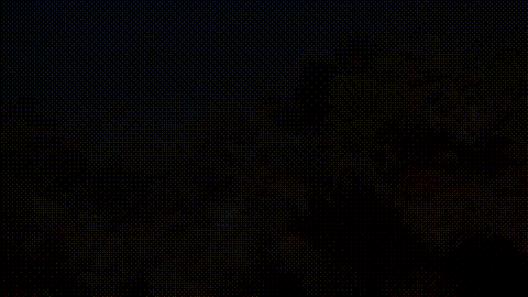 Underwater Reef Flying