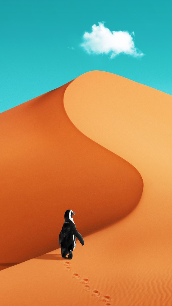PENGUIN ON VACATION