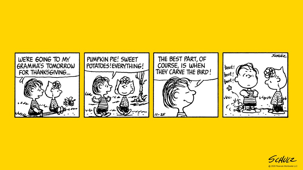 11/25/1981