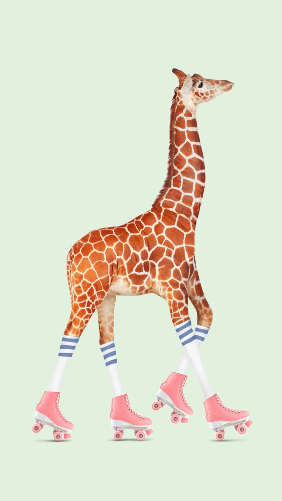 ROLLERSKATING GIRAFFE