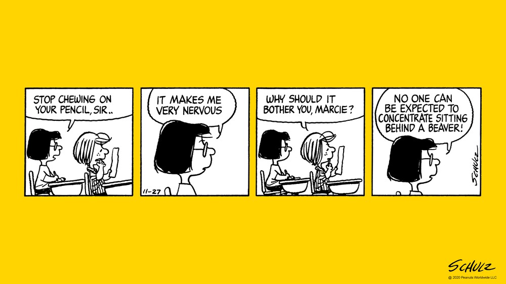 11/27/1981