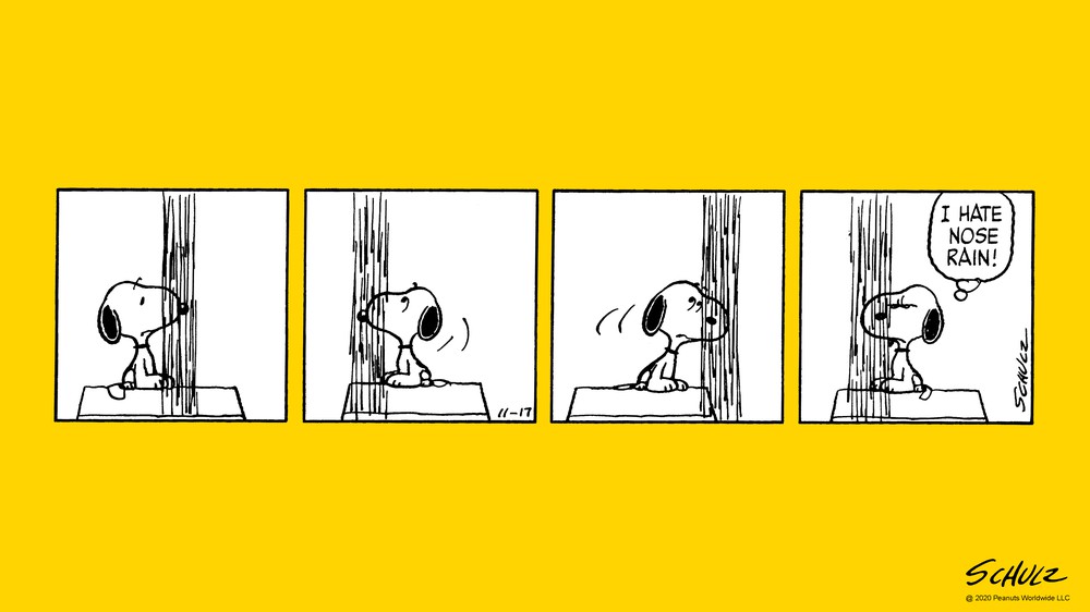 11/17/1981