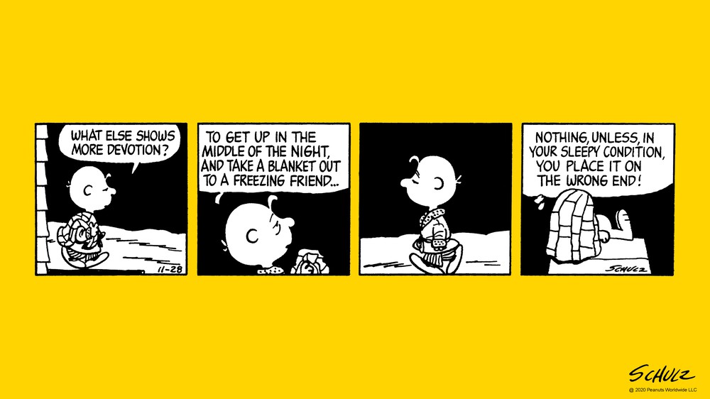 11/28/1981