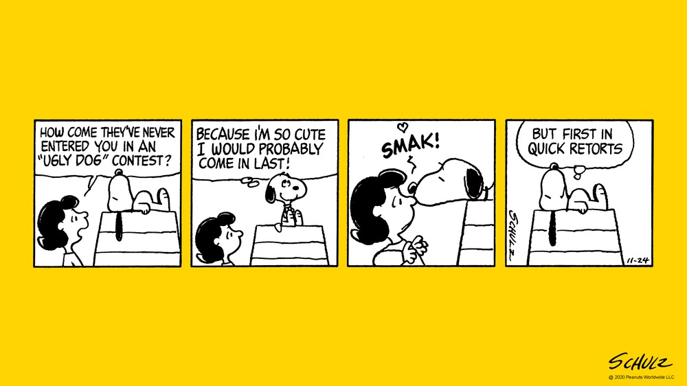 11/24/1981