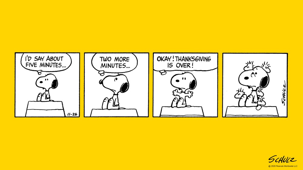 11/26/1981