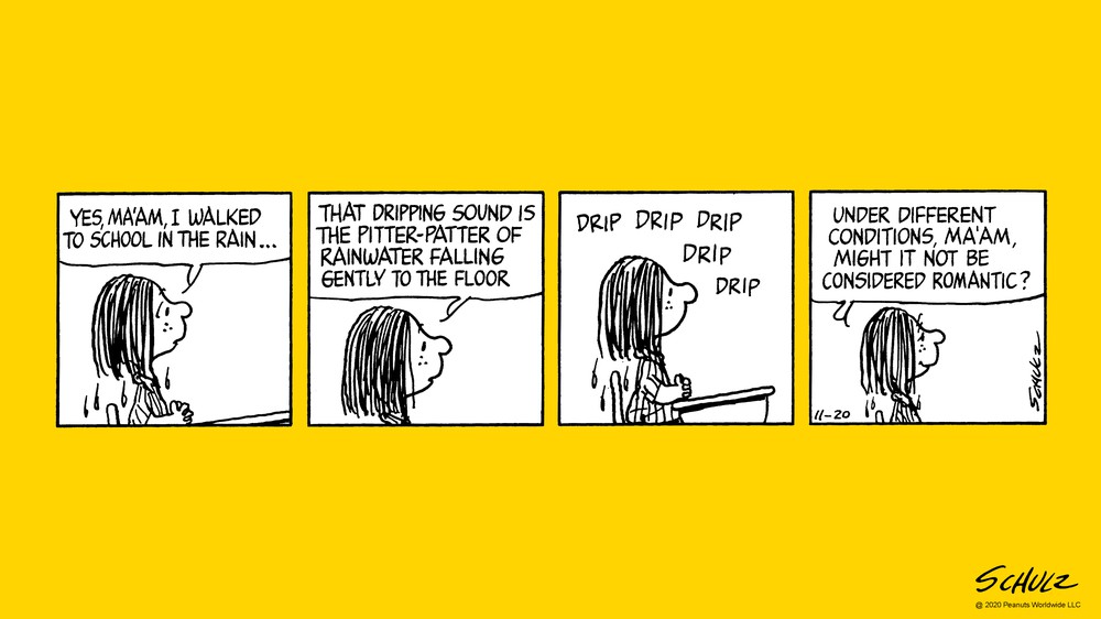 11/20/1981