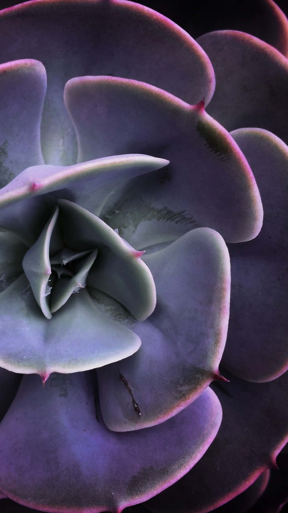 The Week Ahead: June 22, 2020