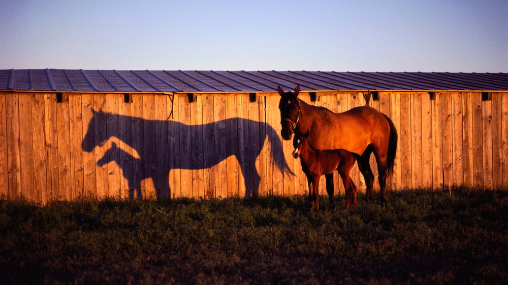 Montana, USA