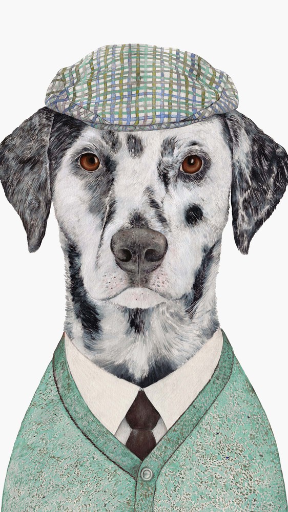Dalmatian