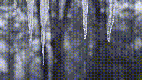 Icicle