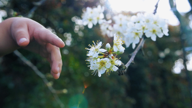 A Touch of Spring