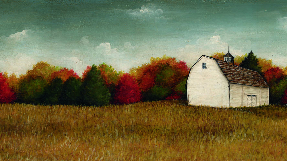 White Barn in Field