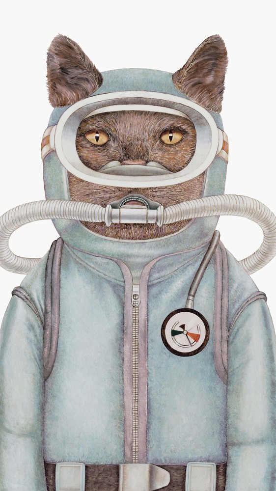 Scuba Cat