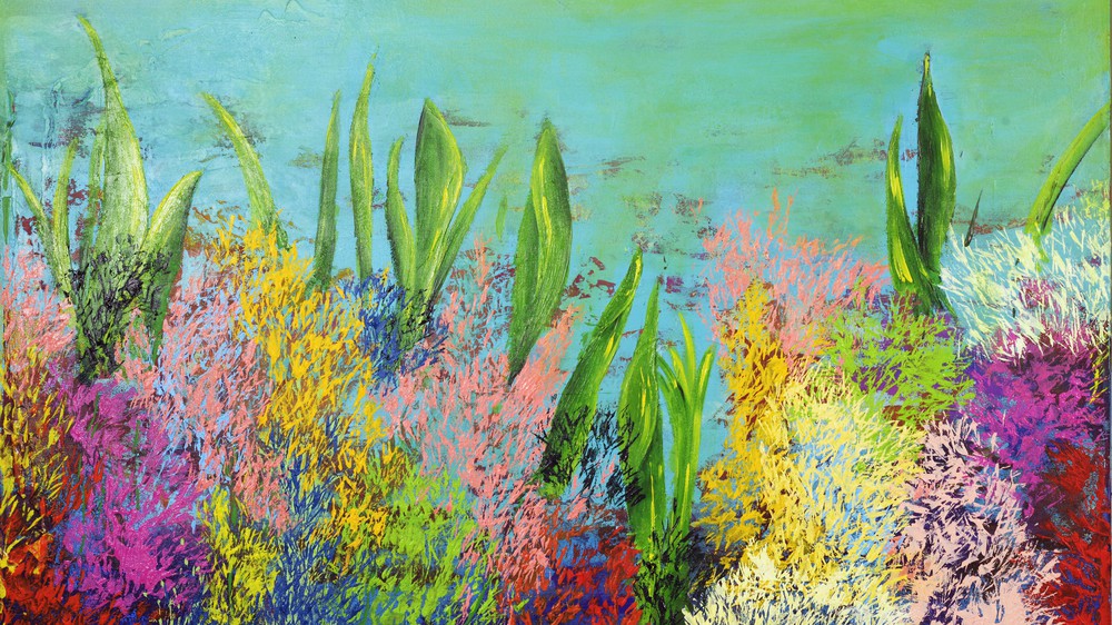 Coral Reef