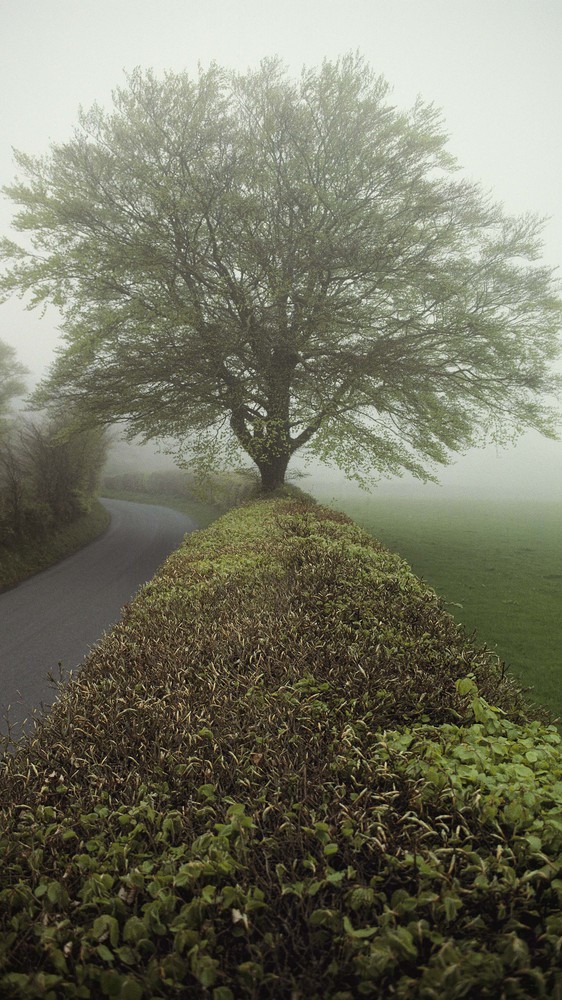 Exmoor, Somerset, England