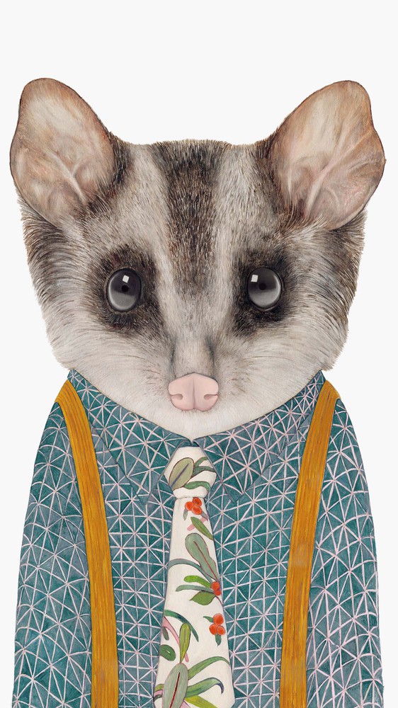 Possum