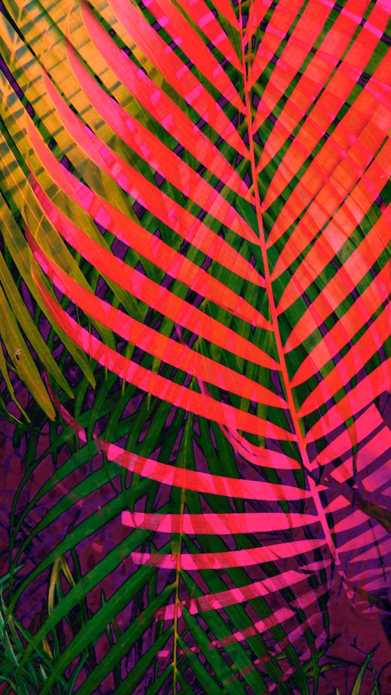 Colorful Tropic Leaves no6