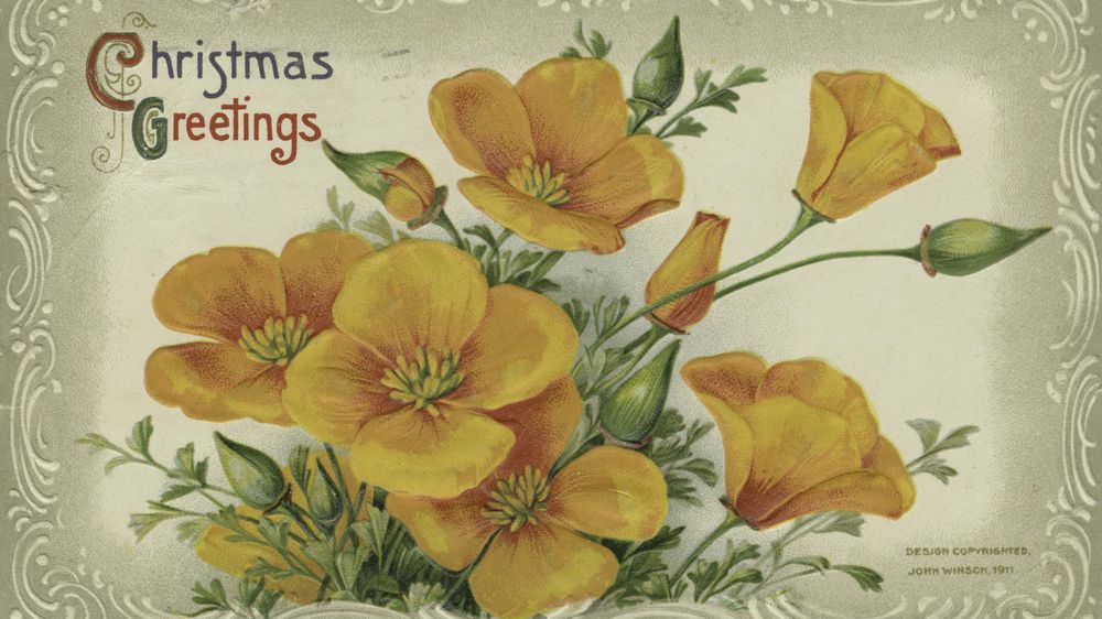 Christmas Greetings