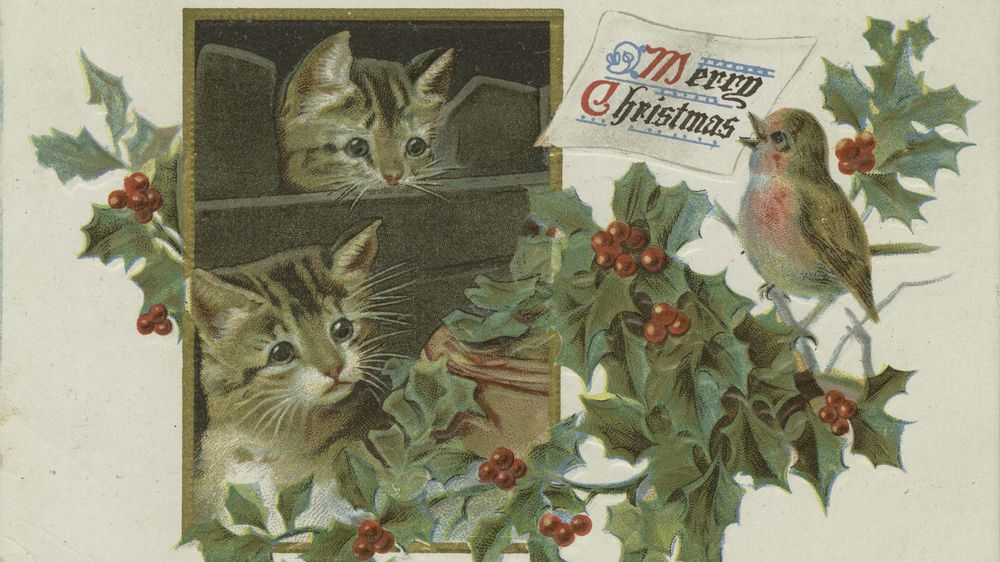 Merry Christmas