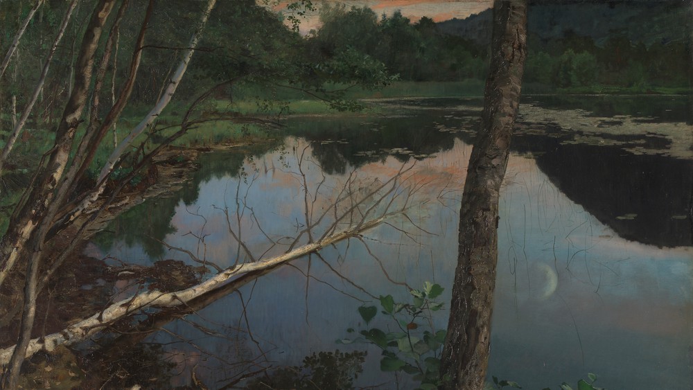 Summer Night