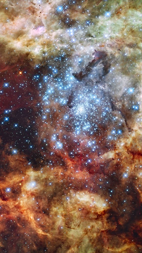 Grand Star-Forming Region