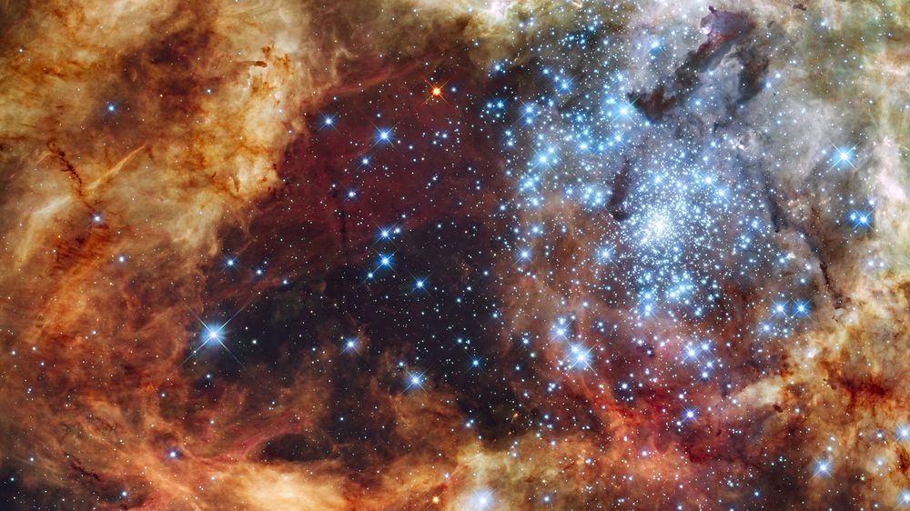 Grand Star-Forming Region