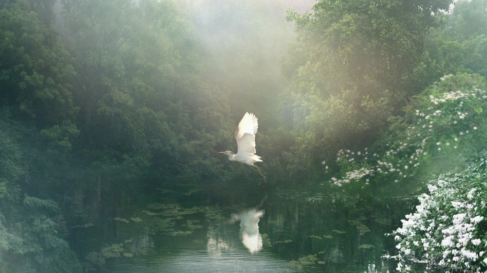 Flight over River