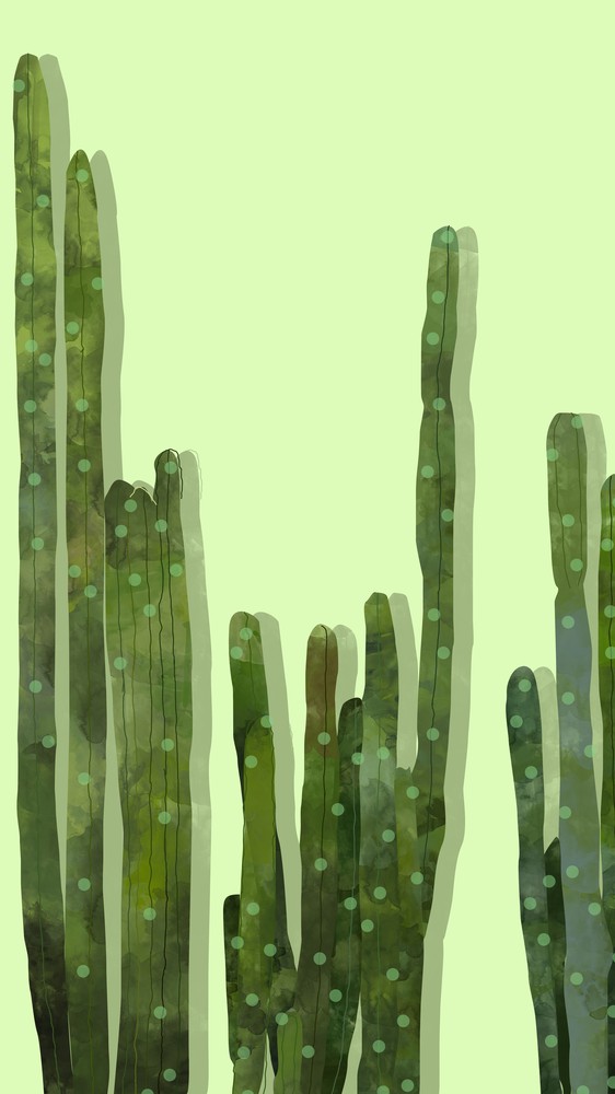 Point Cactus