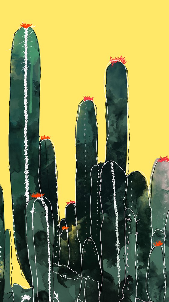 Cactus