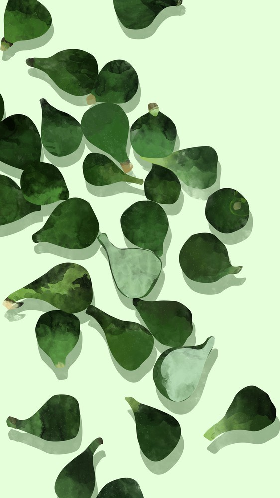 Watercolor Figs