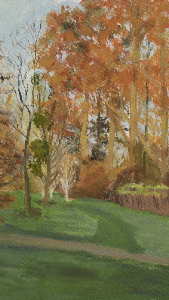 November Sun on the Redwoods