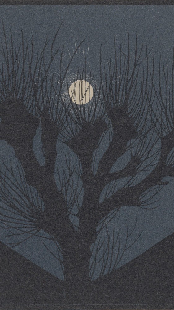 Moon Night