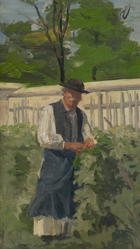 Grapes