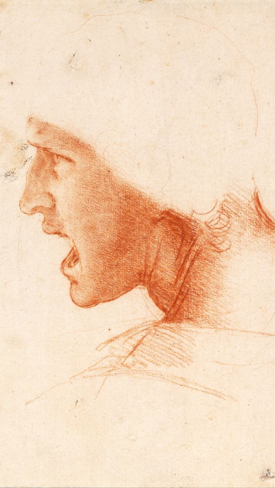 Study of a Warrior's Head for the Battle of Anghiari