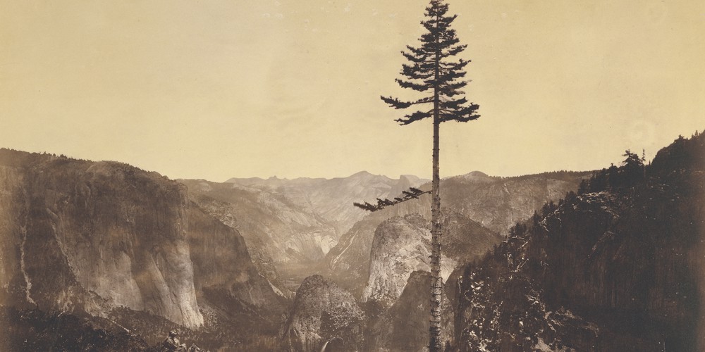 Eadweard Muybridge | Explore Meural's Permanent Art Collection ...