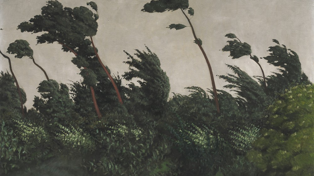 The Wind