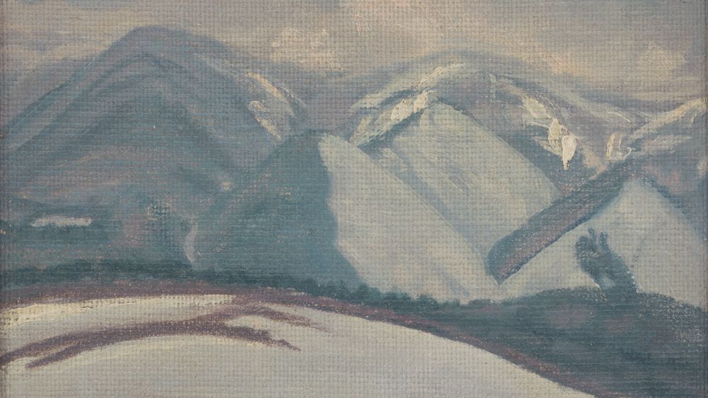 Snowy Mountains