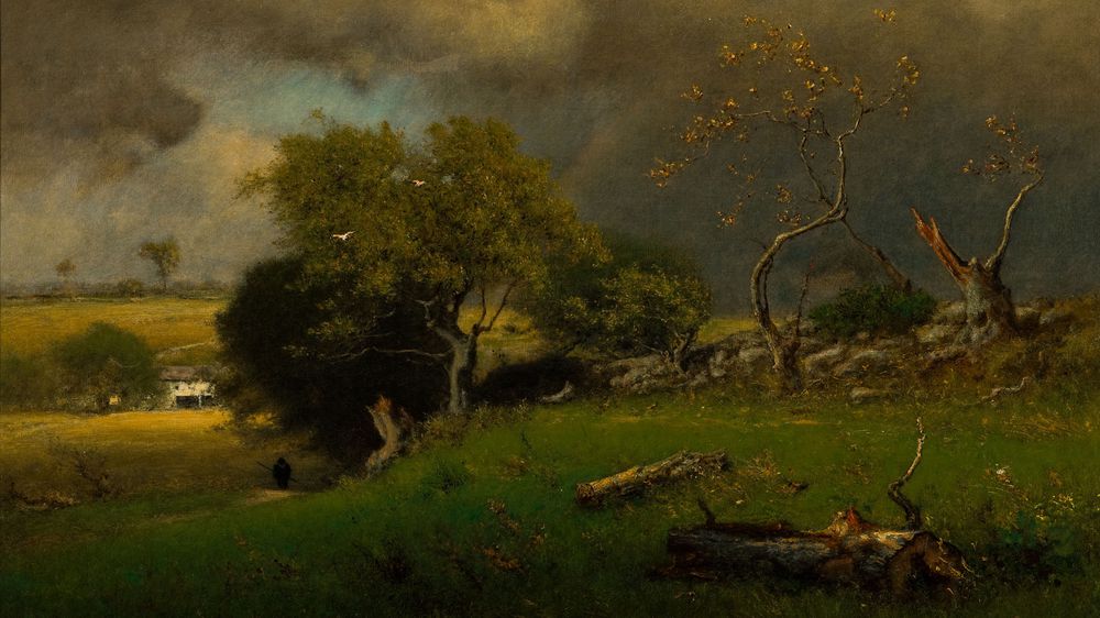 The Storm