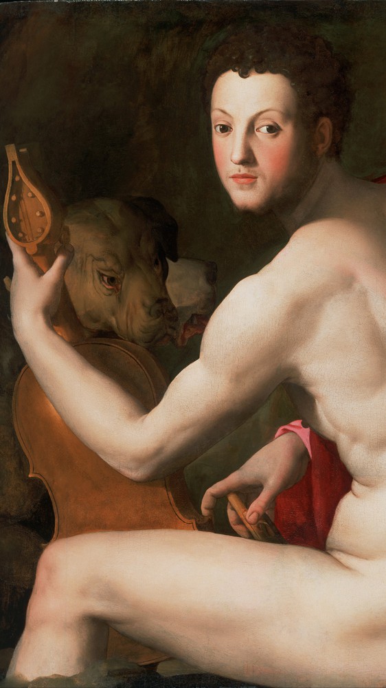 Portrait of Cosimo I de' Medici as Orpheus