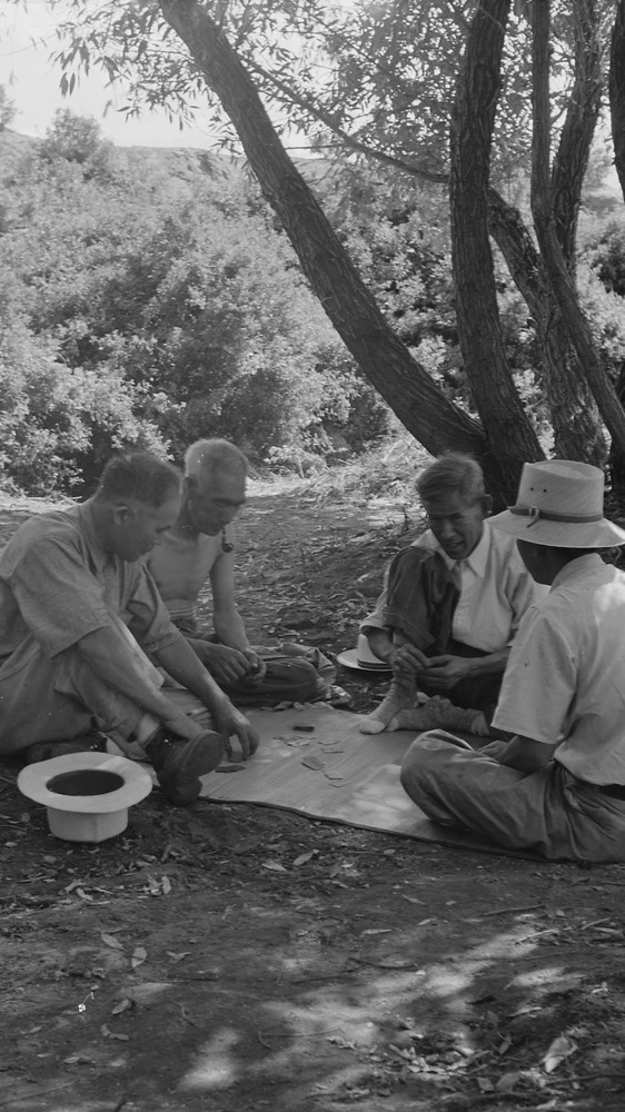 Evacuees Enjoying Games Under the Shade of Trees