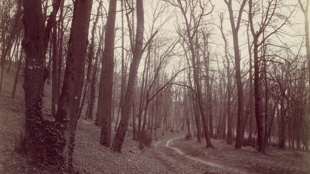 St. Cloud near Paris